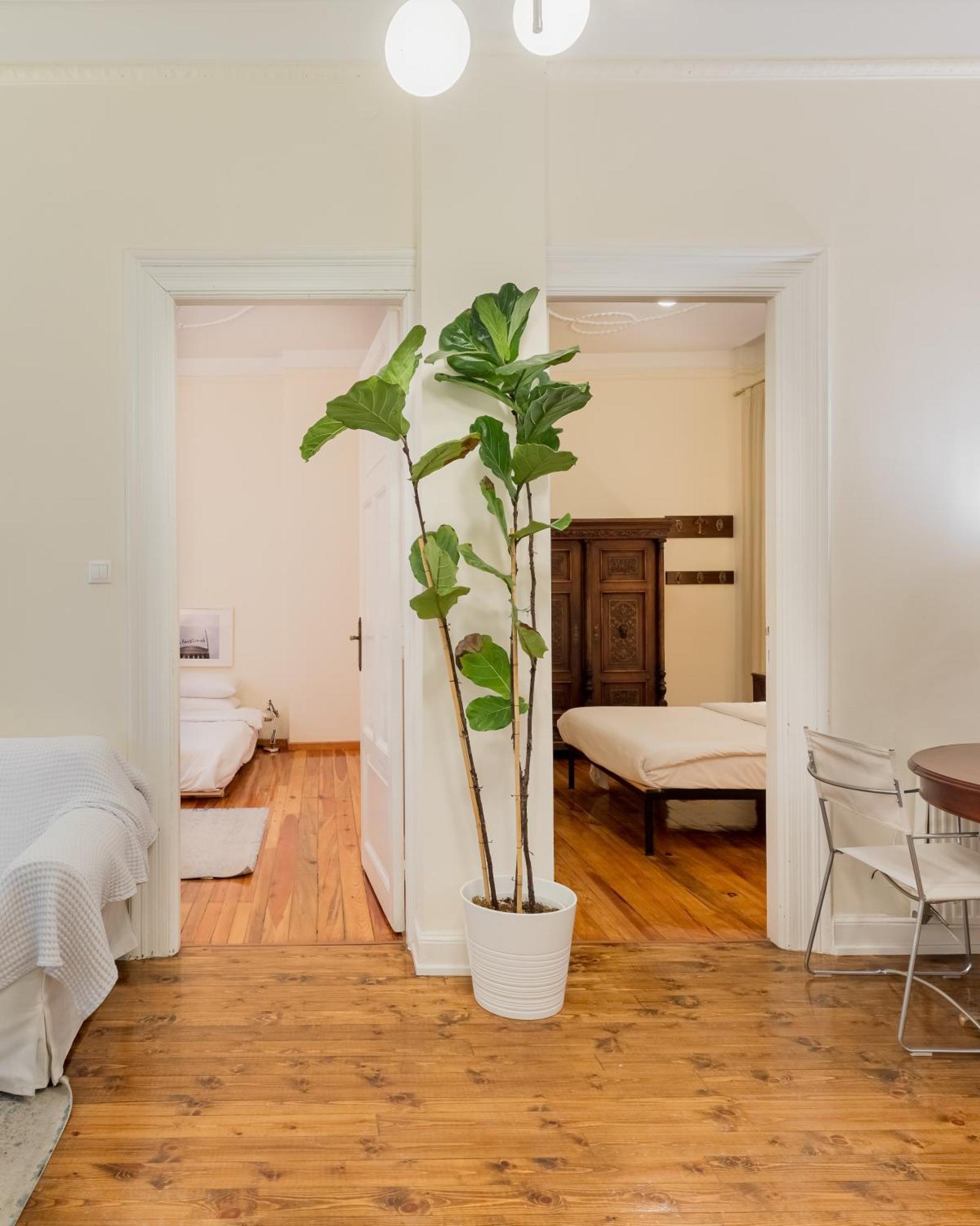 סלוניקי #Magnolia Apt By Halu! Apartments מראה חיצוני תמונה